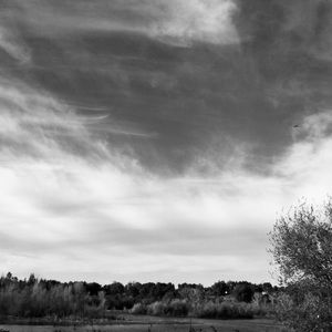 Meet your Posher, Aubrey